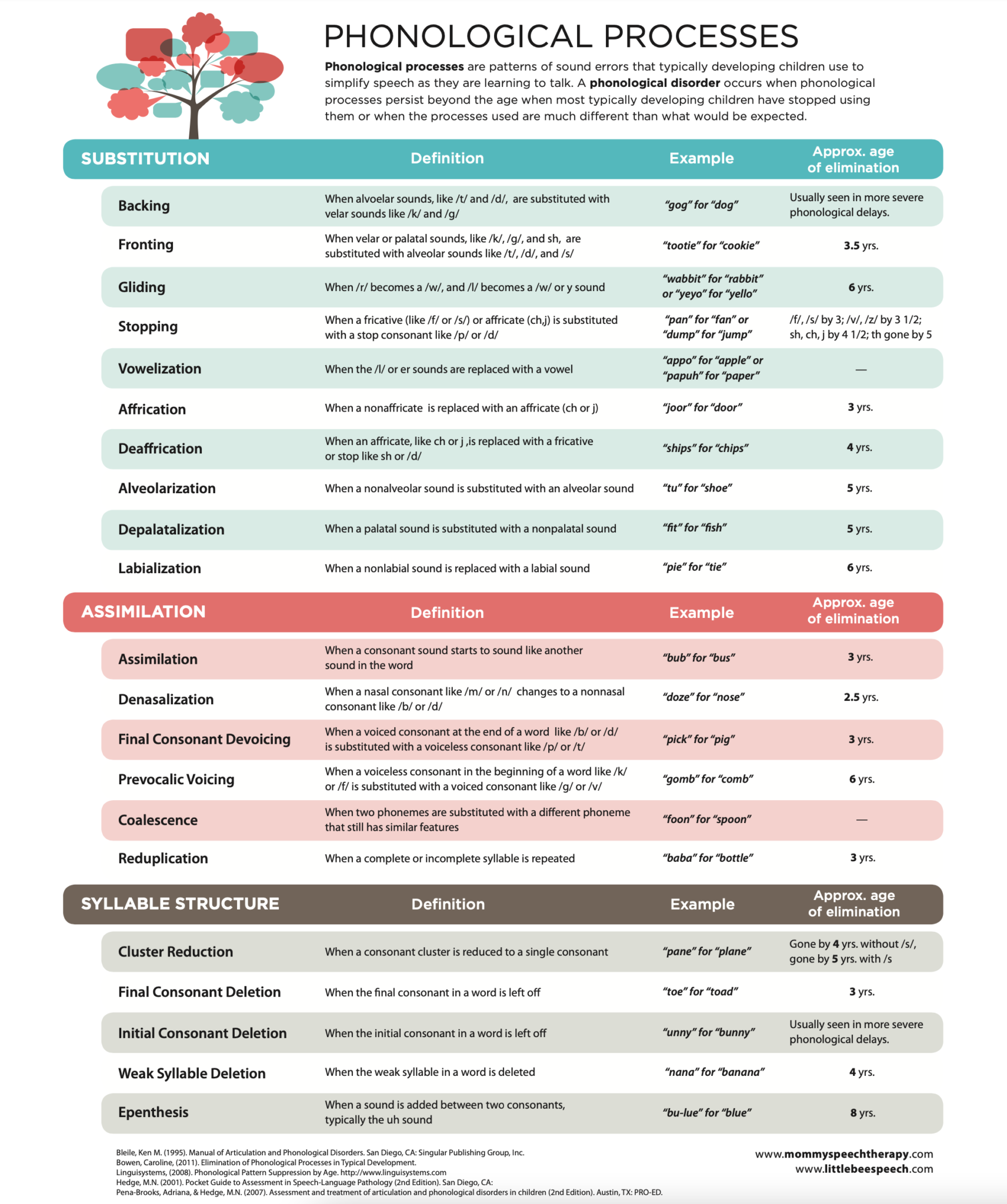 What Is Vocalization Phonological Process