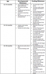 Feeding Milestones: 12 to 18 Months | PlayWorks Therapy Inc.